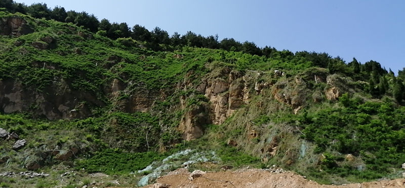 南鄭區(qū)梁山(shān)鎮梁山(shān)礦區(qū)4号坡面植被恢複