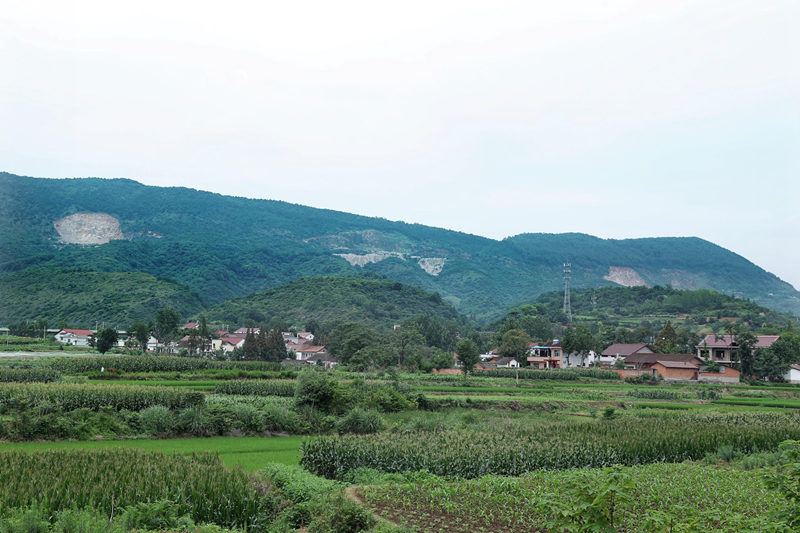 礦山(shān)植被恢複