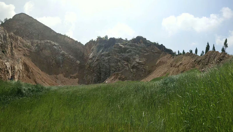 陝西園林綠化工(gōng)程帶大家了解公(gōng)園綠化園林的綠化原則，快來看吧