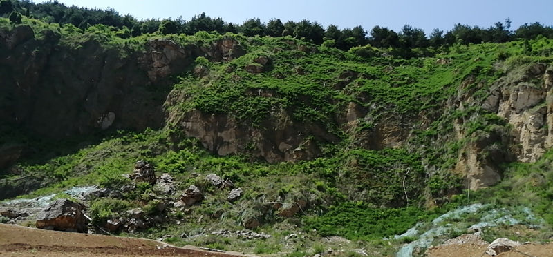 南鄭區(qū)梁山(shān)鎮梁山(shān)礦區(qū)植被恢複工(gōng)程