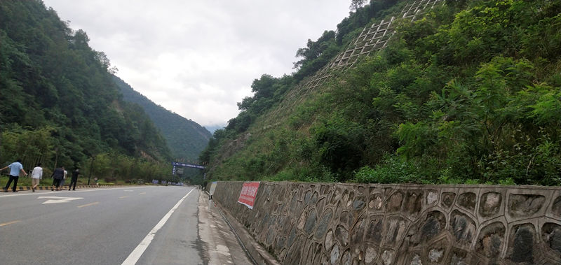漢中(zhōng)市鎮巴縣楊家河G210國(guó)道高邊坡綠化